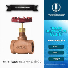 Bronze globe valve